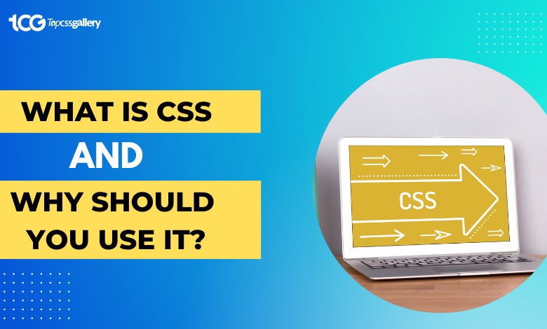 The Beginner's Guide: What is CSS?