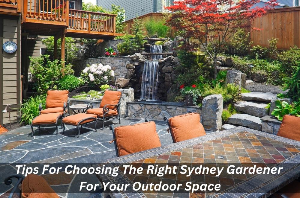 Tips For Choosing The Right Sydney Gardener For Your Outdoor Space