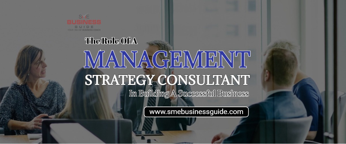 Functions of Management Strategy Consultant's In Establishing A Successful Business