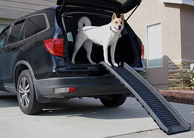 How Folding Pet Ramps Can Make Walking Fido Easier And Safer