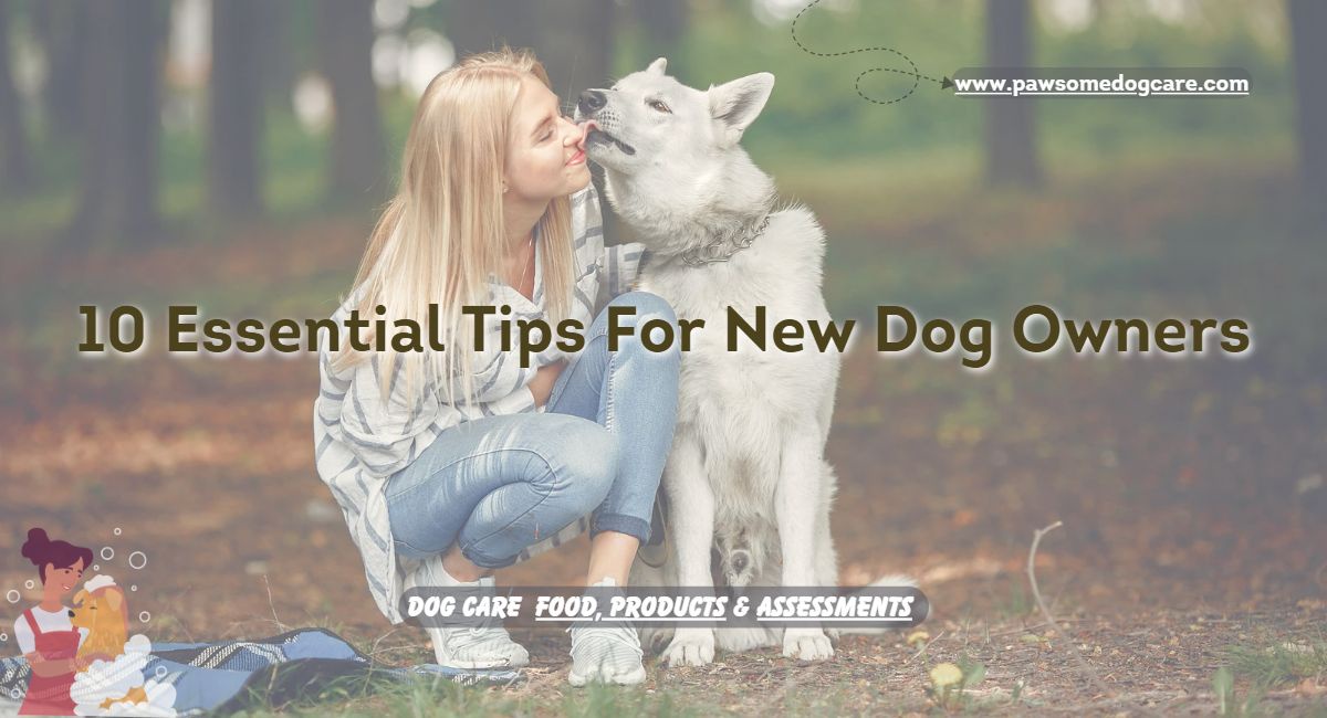 10 Essential Tips for New Dog Owners