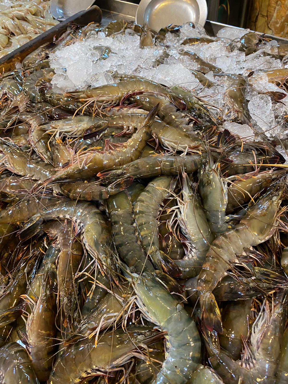 What Are the Different Types of Fresh Prawns Available in Singapore?