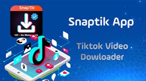 Top 5 Alternatives to SnapTik for Downloading TikTok Videos