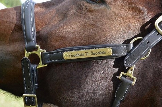 When You Buy Stainless Steel Horse Tags Online Look For These Things