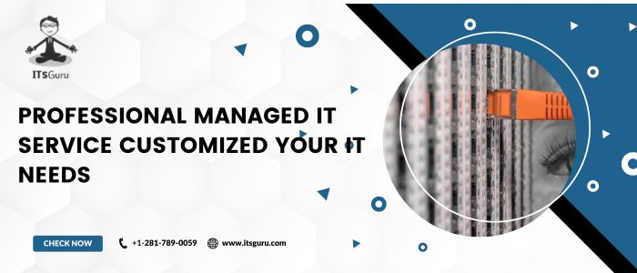 Why You Need a Professional Managed IT Service to Customize Your IT Needs
