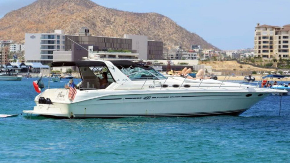 Celebrate Your Next Event With Private Yacht Tours In Cabo