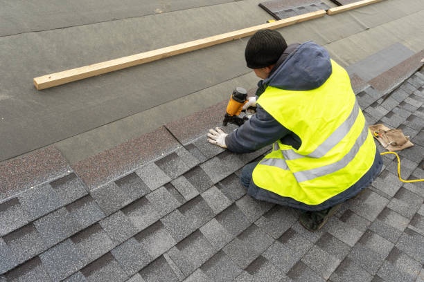 DIY vs Professional Roof Repair: Which Option Is Best