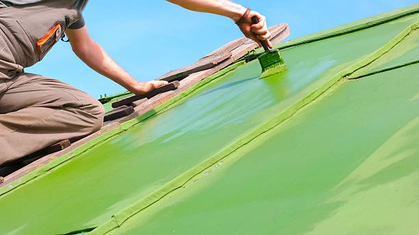 The Surprising Benefits of Regularly Painting Your Home's Roof