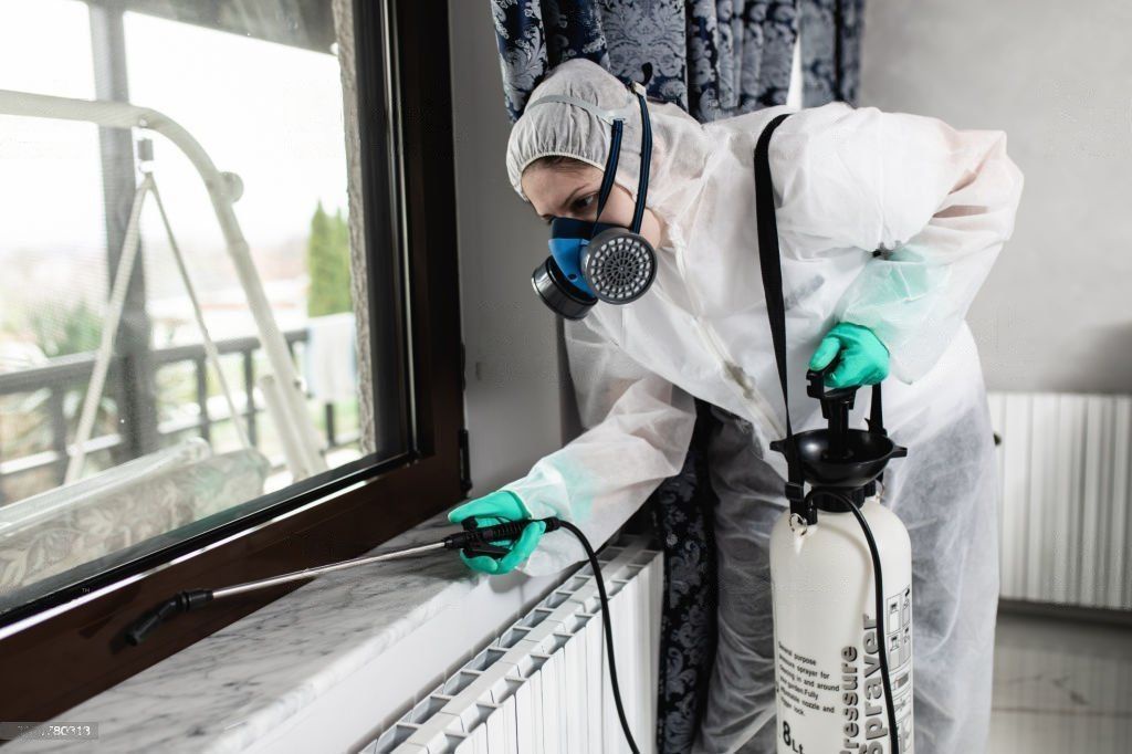 The Importance of Regular Pest Inspections for Your Home or Business