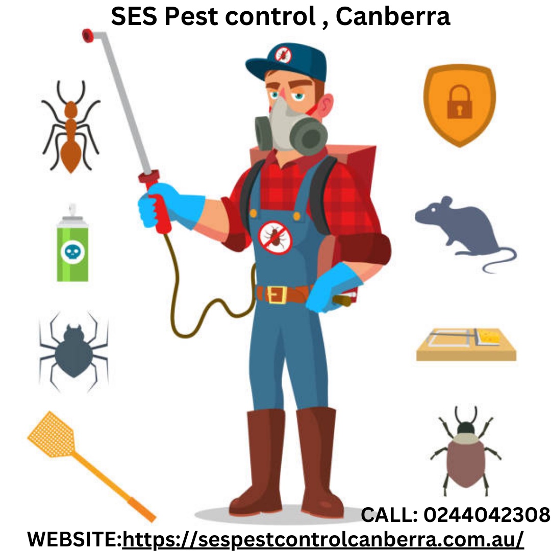 Don't Let Pests Take Over Your Home: Expert Pest Control Services