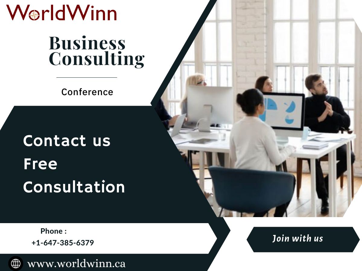 5 Major Benefits to Hire WorldWinn’s Professional Business Consultant in Burlington