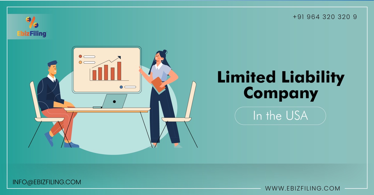 Limited Liability Company In the USA