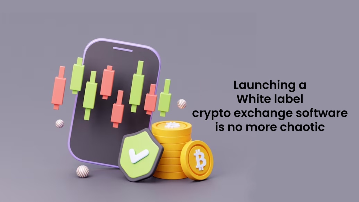 Launching a White label crypto exchange software is no more chaotic