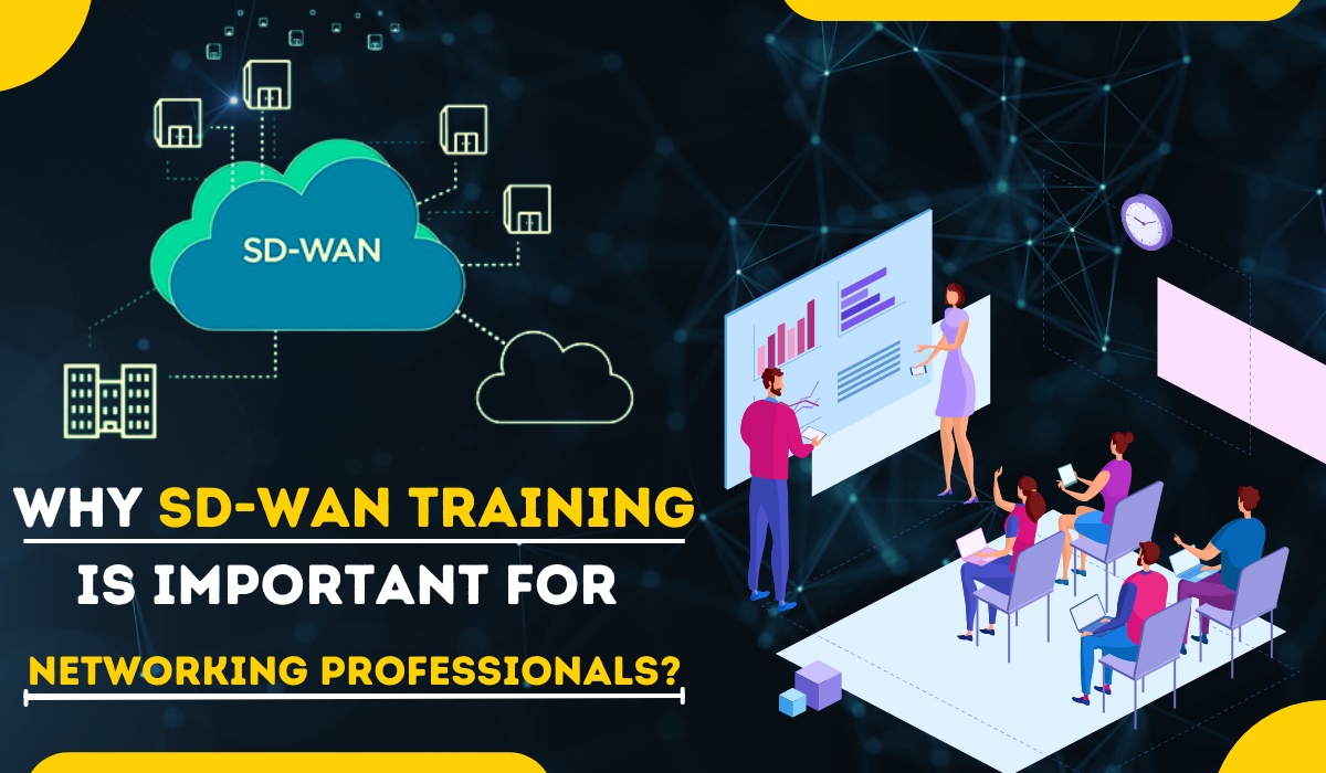 Why SD-WAN training is important for networking professionals?