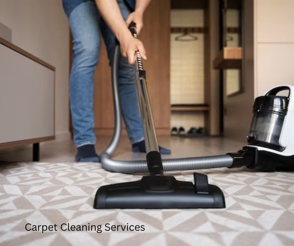 Revitalizing Carpets: Unveiling the Top Carpet Cleaning Services in DC