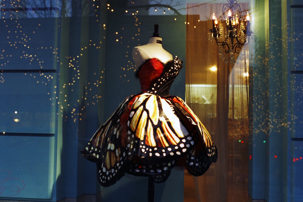Butterfly Dresses Are So Adorable