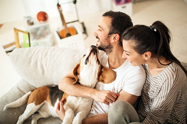 Moving with Pets: A Guide to Relocating Stress-Free
