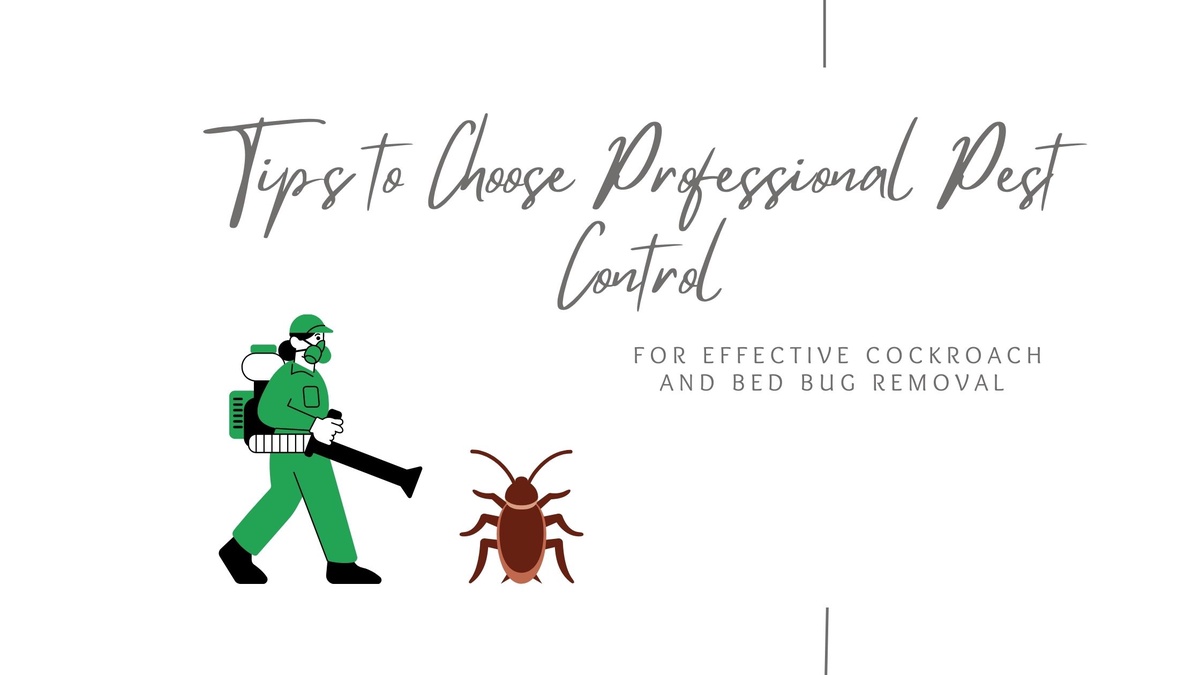 Tips to Choose Professional Pest Control for Effective Cockroach and Bed Bug Removal