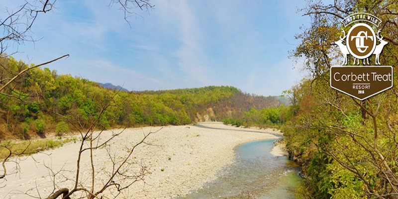 Refresh Yourself This Summer At The Luxurious And Wildlife Resorts In Jim Corbett