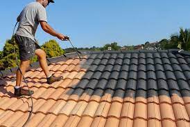 How to Prepare Your Roof for Painting