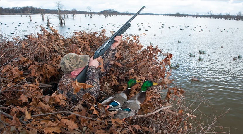 Elevate Your Hunting Adventure: Discover the Benefits of All-Inclusive Duck Hunting Packages