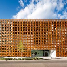 Unlocking the Potential: Sustainable Design Unleashed with Wood Panels
