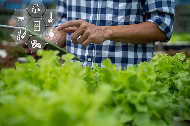 TechPlant: Revolutionizing Agriculture with Technology
