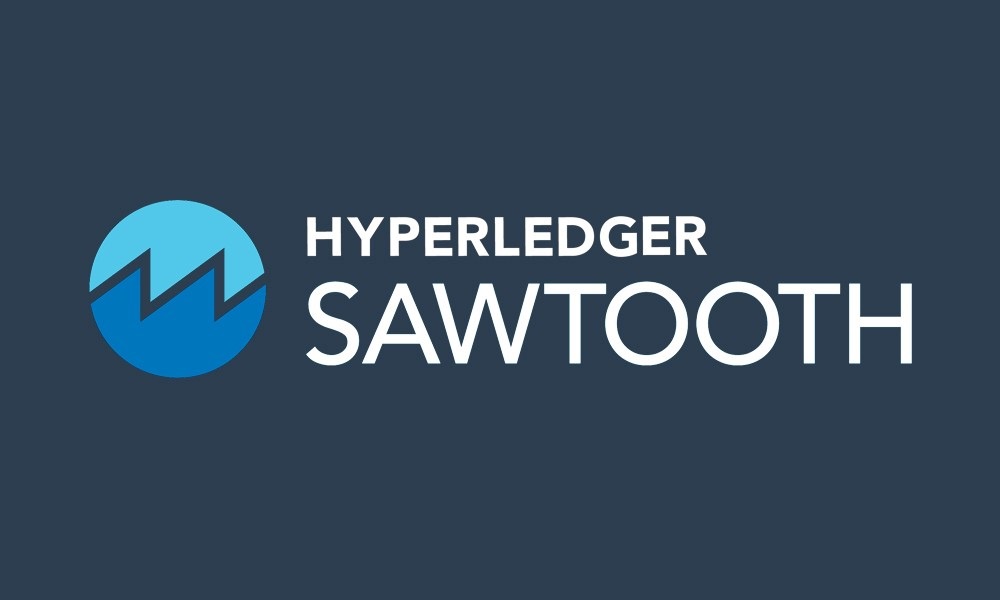 Hyperledger Sawtooth Network Setup: Network Topology and Peer Communication