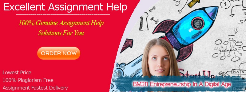 BM311 Entrepreneurship In A Digital Age Assignment