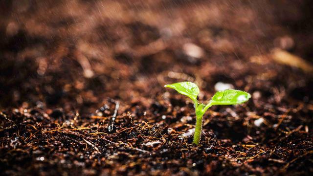 The significance of soil testing for farming