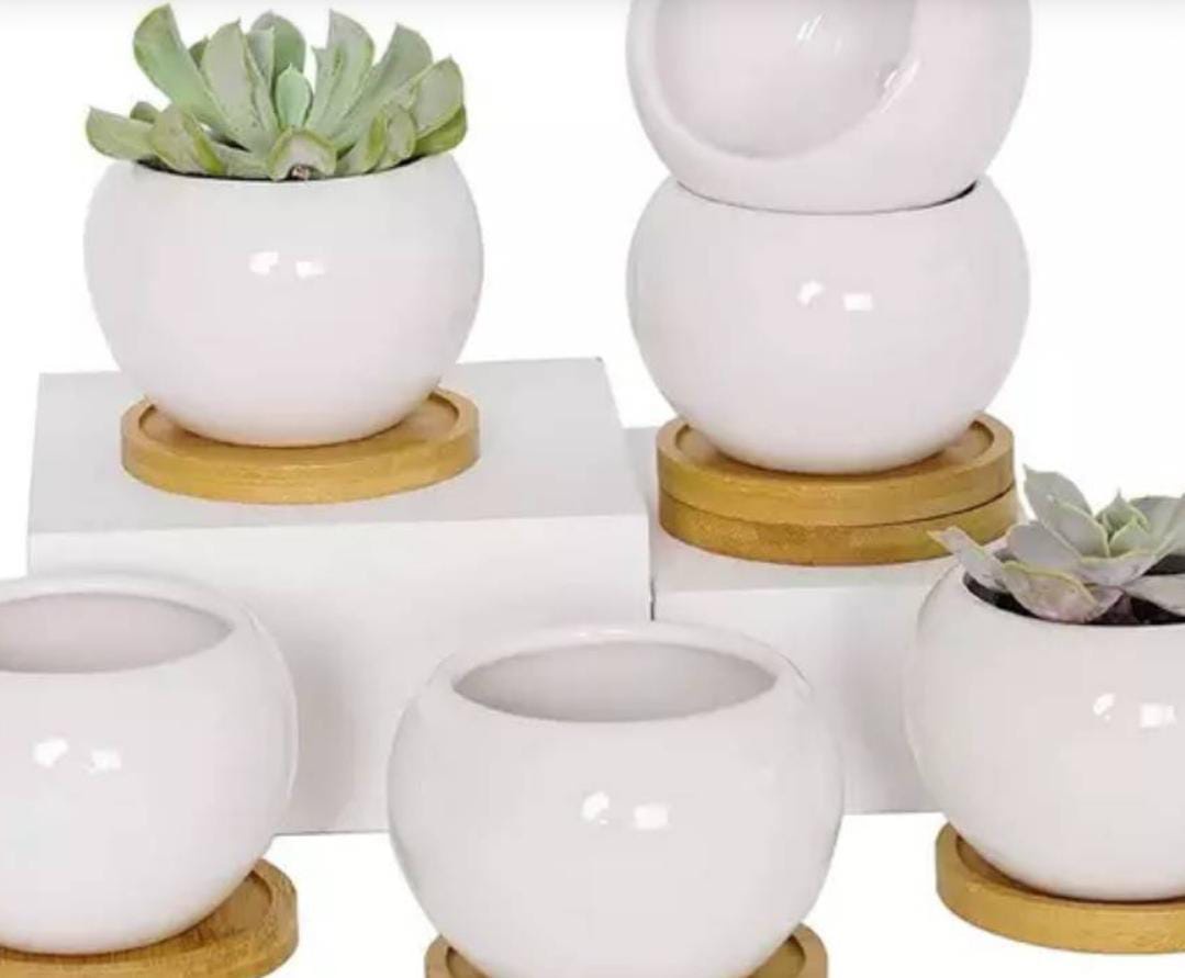 Discover the Finest Ceramic Pots and Planters from Khurja: Where Art Meets Greenery