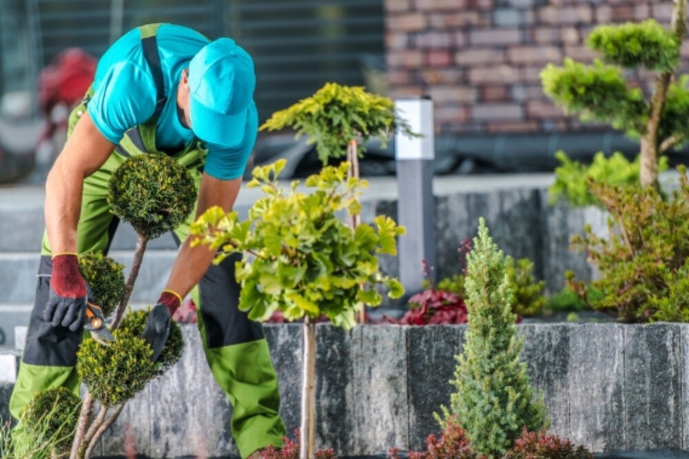 Residential Lawn Care Services to Create a Beautiful Outdoor Space in California