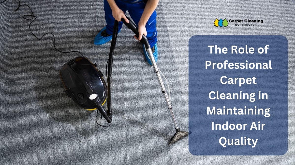 The Role of Professional Carpet Cleaning in Maintaining Indoor Air Quality