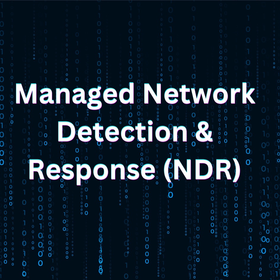 Managed Network Detection & Response Services in India | Senselearner