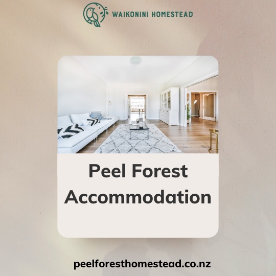 Tips for Selecting the Ideal Accommodation in Peel Forest