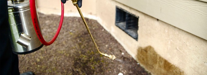 Pest control coraki