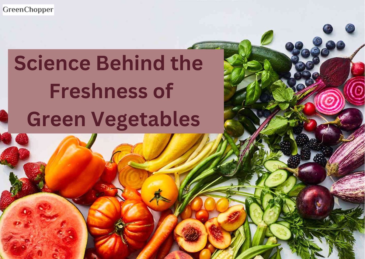 The Science Behind the Freshness of Green Vegetables: What You Need to Know