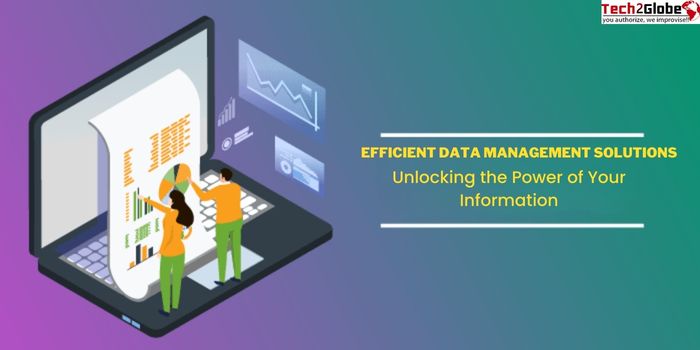 Efficient Data Management Solutions: Unlocking the Power of Your Information