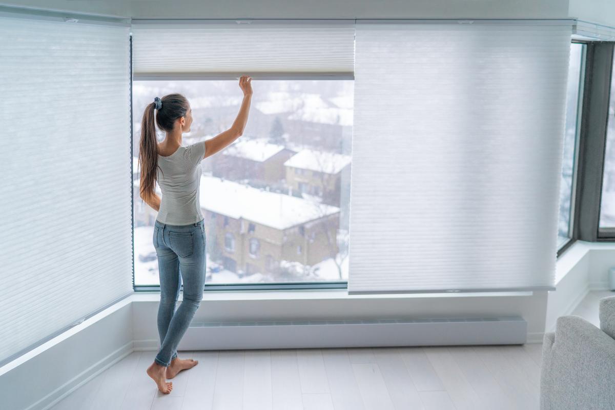 Smart Savings, Stunning Results: Buy Affordable Window Shutters