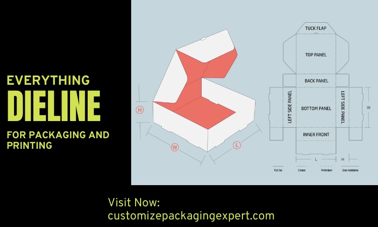 Everything About Dieline for Packaging and Printing