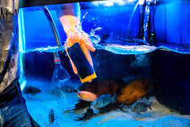 The Coral Shop's Top 10 Aquarium Maintenance Secrets