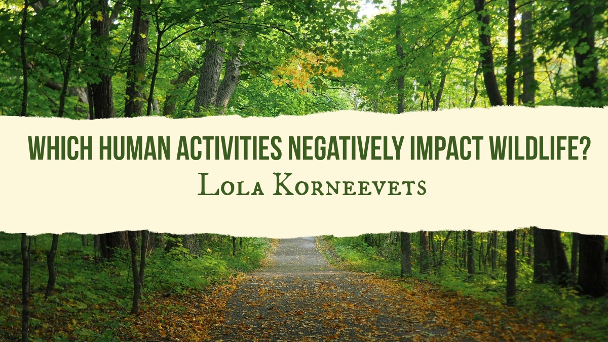 Which Human Activities Negatively Impact Wildlife? - Lola Korneevets