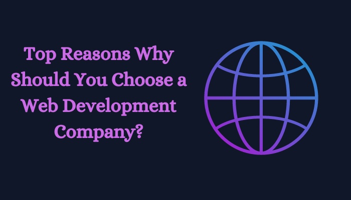 Top Reasons Why Should You Choose a Web Development Company?