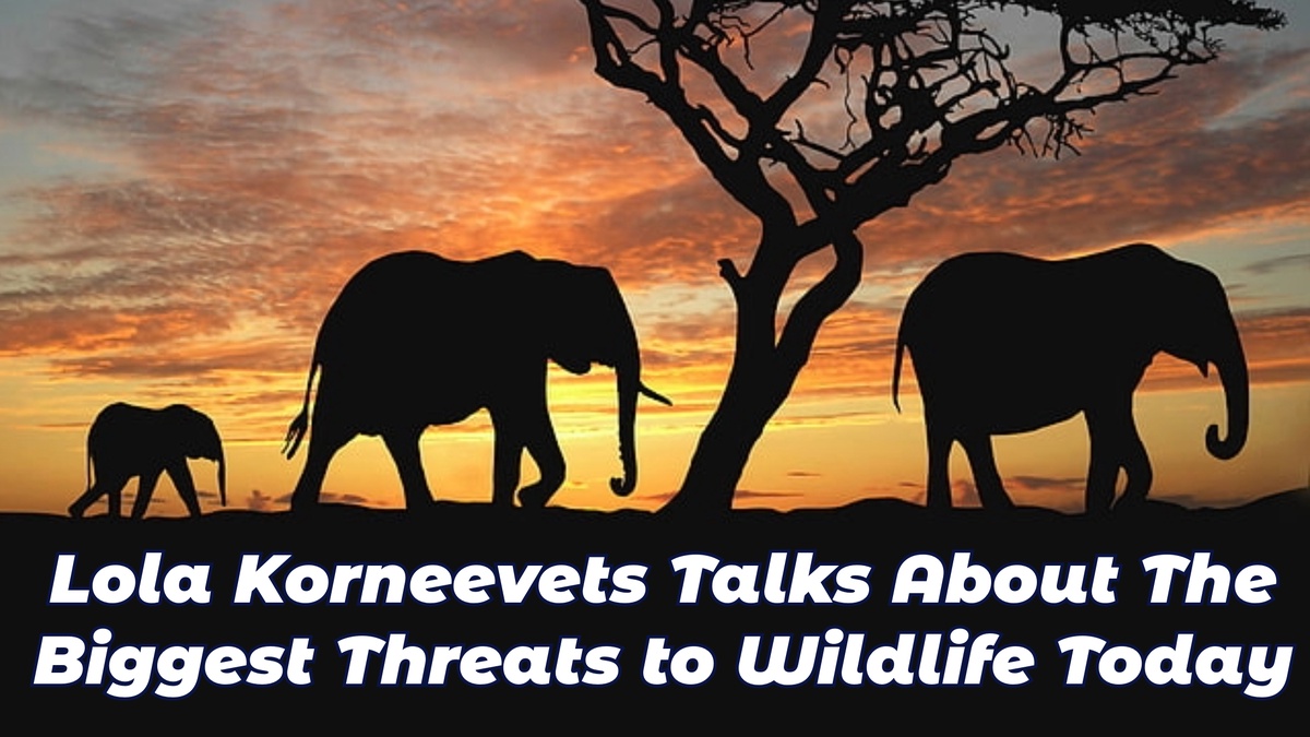 Lola Korneevets Talks About The Biggest Threats to Wildlife Today