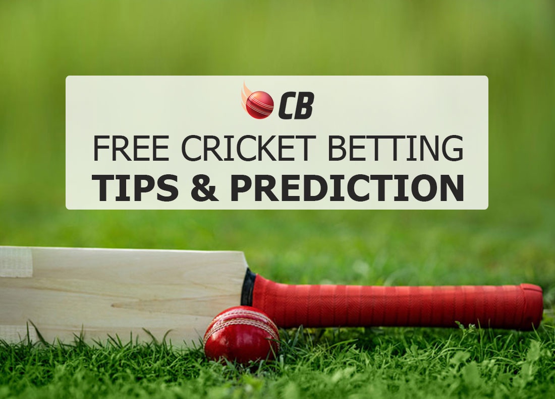 Baseball Betting Tips: How to Win Big With Your Bets