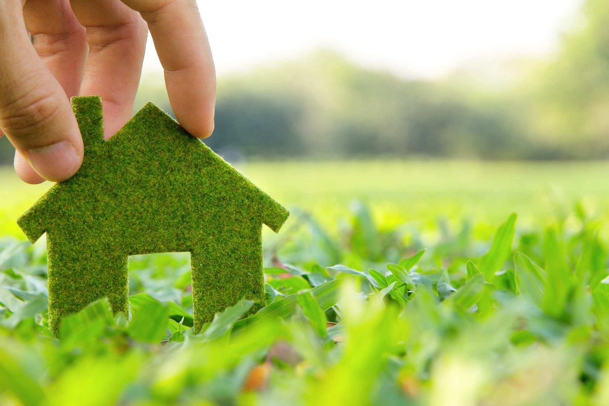 A Simple Guide to Creating and Maintaining an Eco-Friendly Household