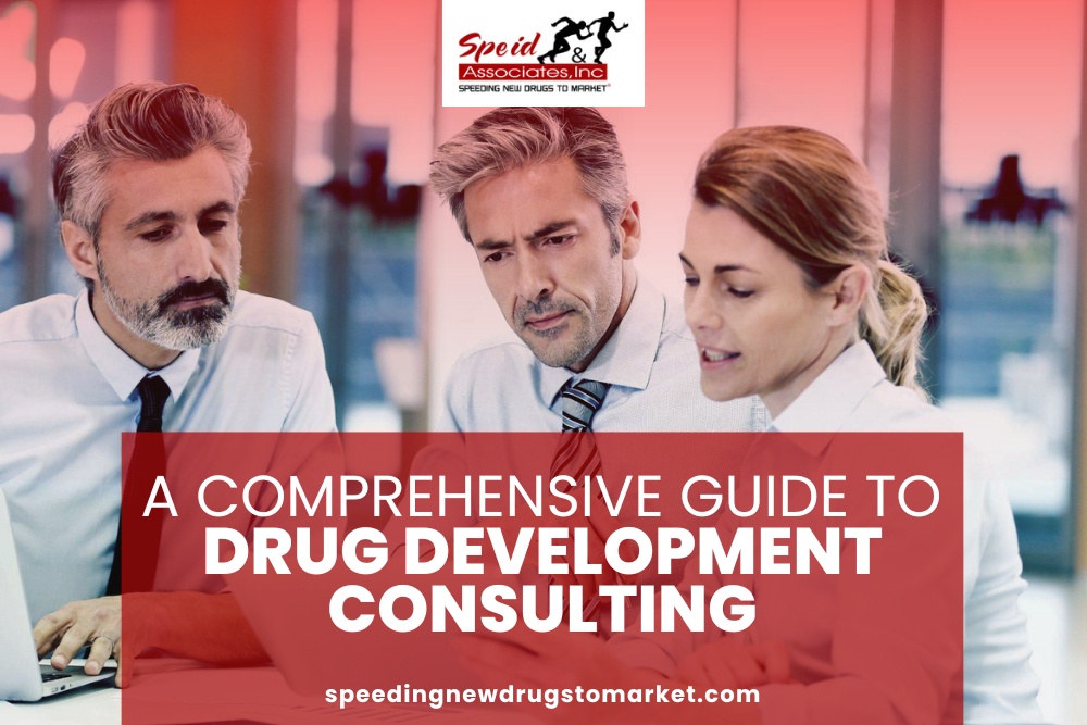 A Comprehensive Guide to Drug Development Consulting