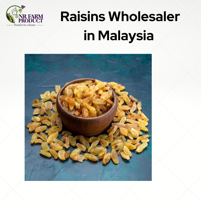 Unveiling the Finest Raisins Wholesaler in Malaysia: A Journey to Delightful Sweetness