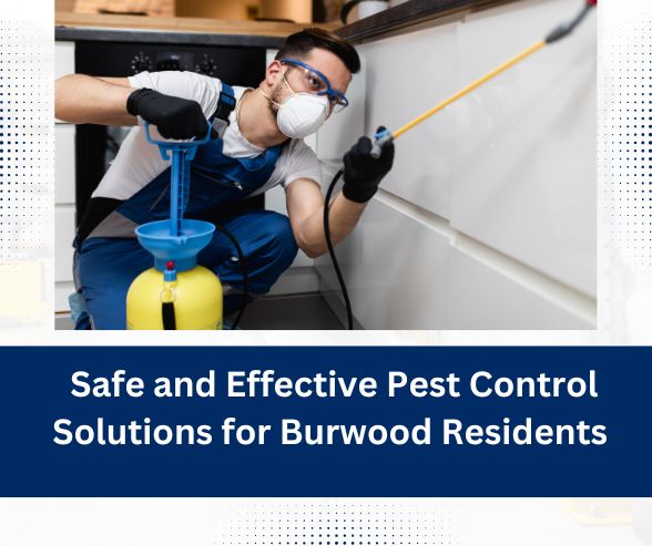 Safe and Effective Pest Control Solutions for Burwood Residents