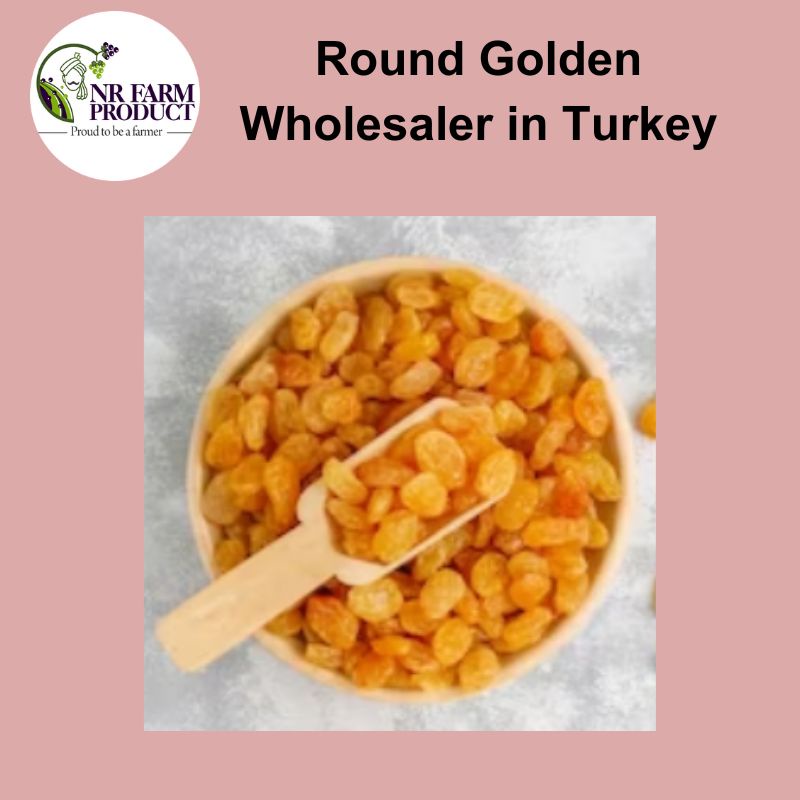 Round Golden Wholesaler in Turkey: A Glimpse into the World of Golden Excellence